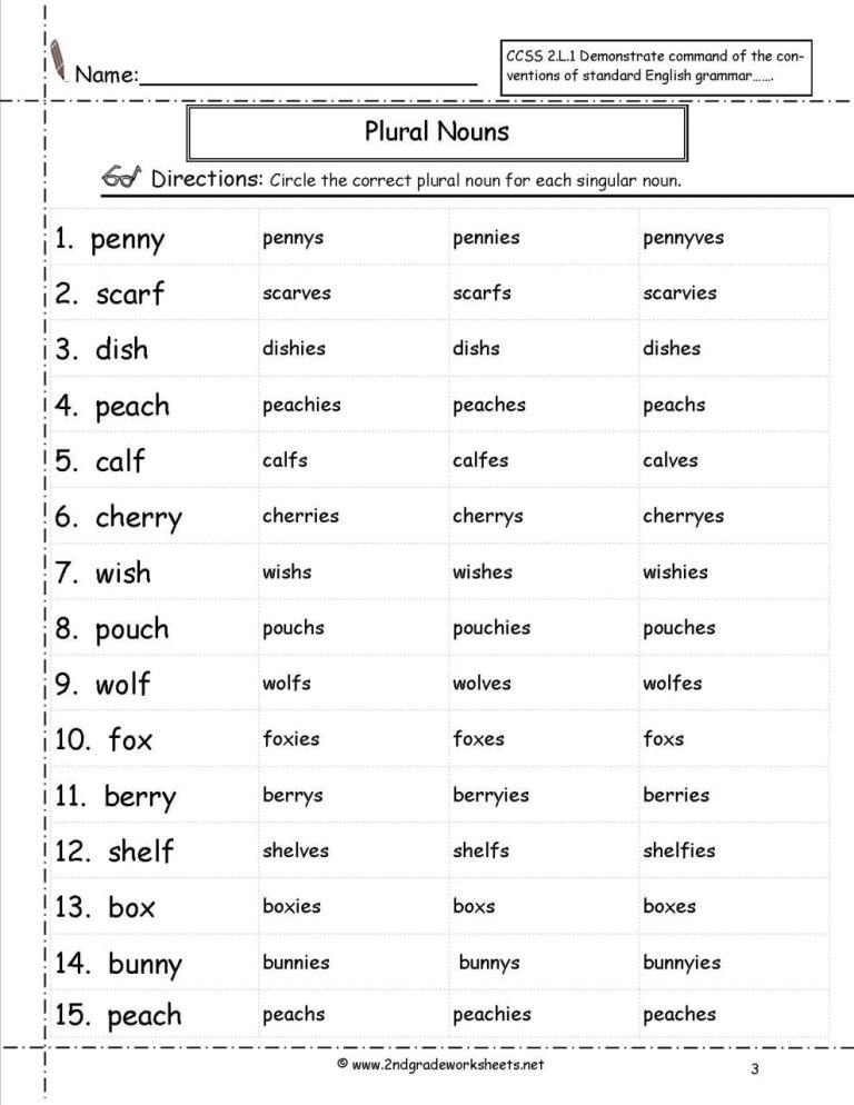 Singular And Plural Nouns Worksheet Grade 5