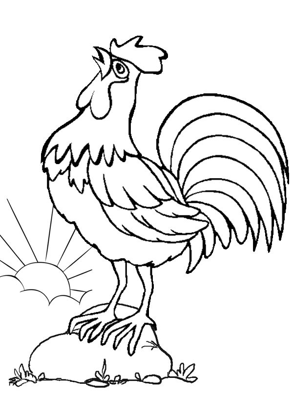 Preschool Rooster Coloring Page
