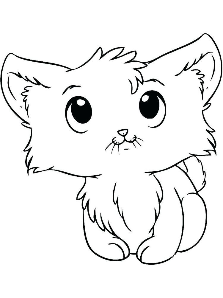 Baby Kitten Pictures To Color