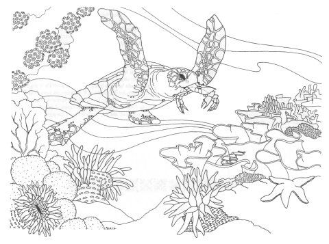 Realistic Sea Coloring Pages