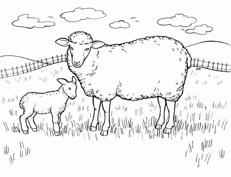 Sheep Coloring Pages Free Printable