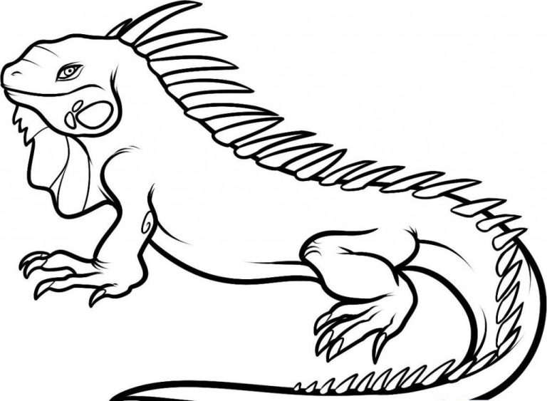 Iguana Coloring Pages Print