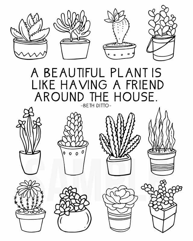 Cute Succulent Coloring Page