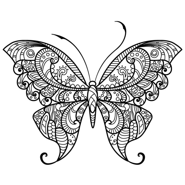 Butterfly Coloring Book Page