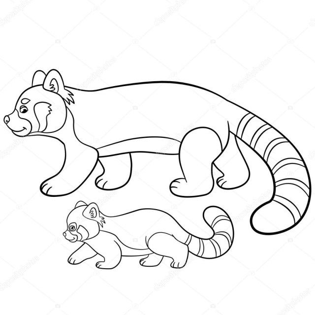 Realistic Red Panda Coloring Page