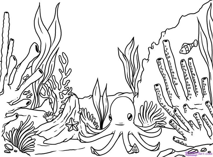 Easy Coral Reef Coloring Page