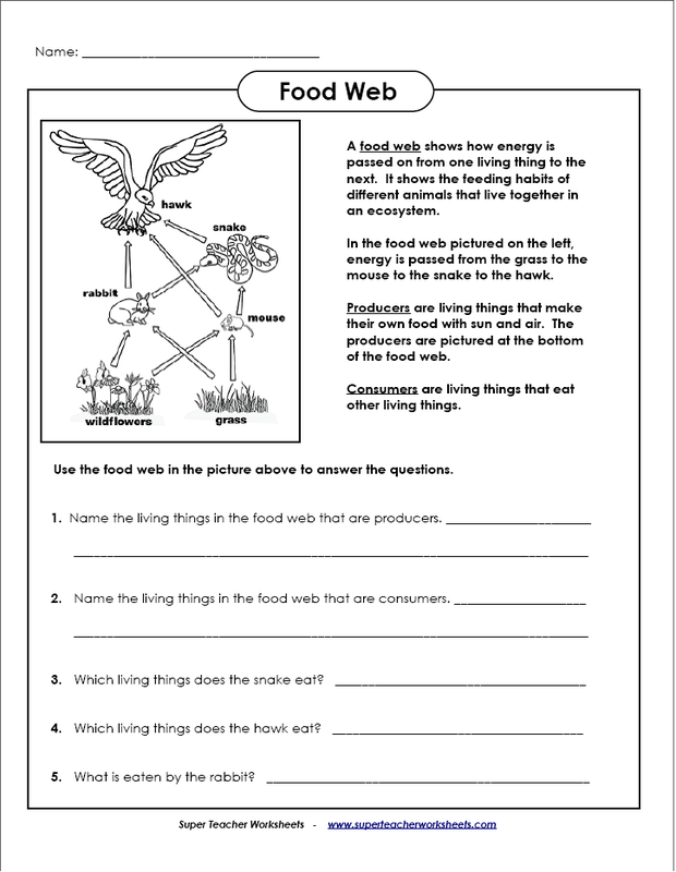 4th Grade Food Chain Worksheet Pdf