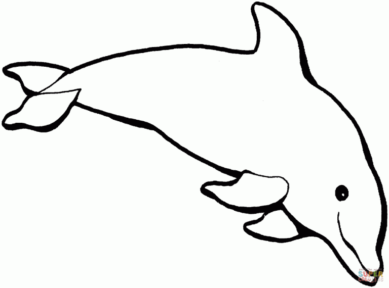 Free Printable Dolphin Pictures To Color