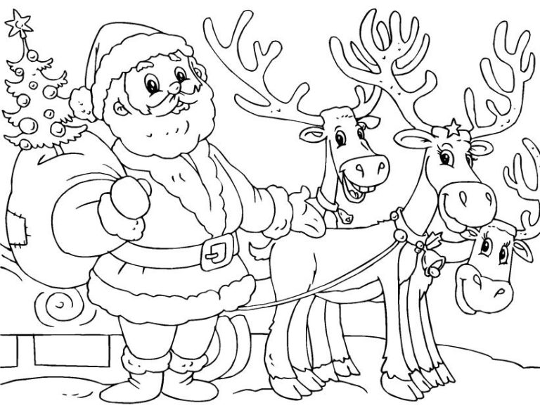 Reindeer Christmas Coloring Pictures