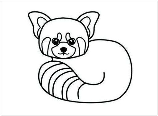 Baby Red Panda Coloring Page