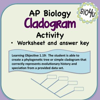 Creating A Cladogram Worksheet Answer Key
