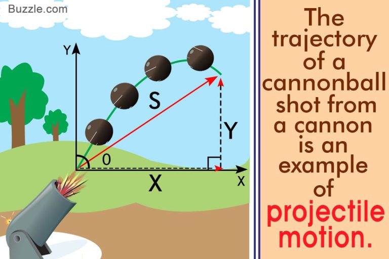 Projectile Motion Comparison Worksheet Answers
