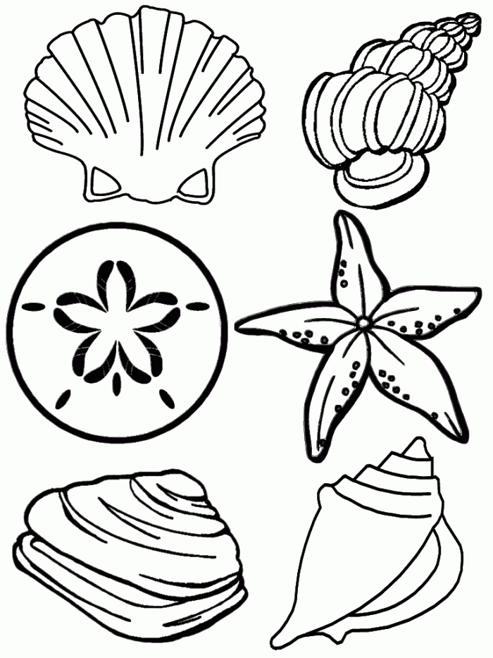 Little Mermaid Seashell Coloring Page