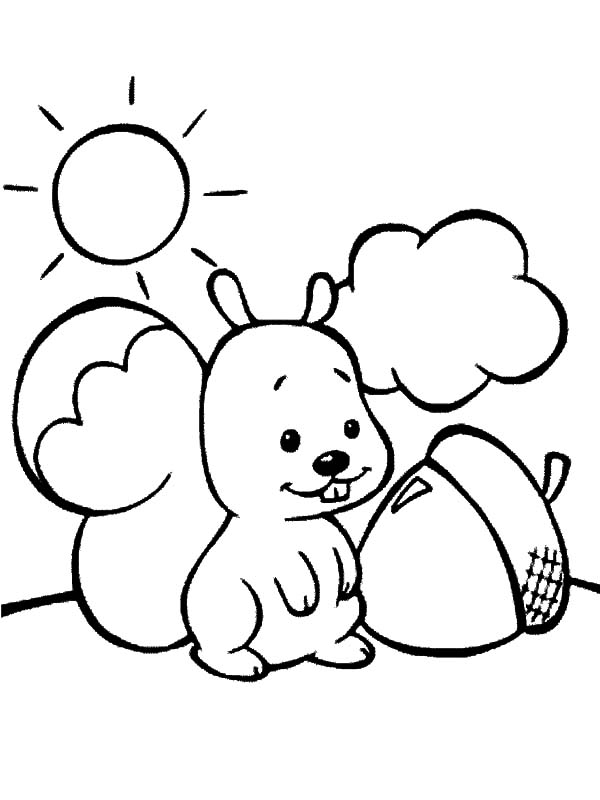 Squirrel Acorn Coloring Pages
