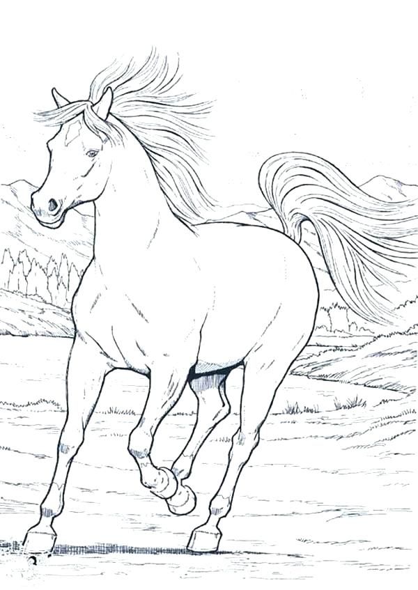 Realistic Horse Coloring Pages Of Animals