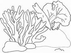 Ocean Floor Coral Reef Coloring Pages