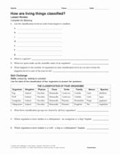 Calculating Specific Heat Worksheet Answer Key