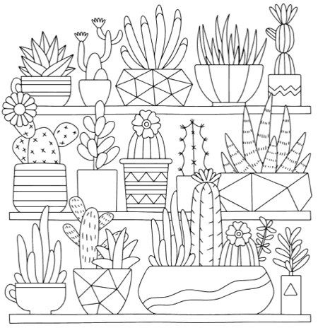 Succulent Coloring Pages Printable