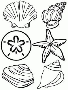 Preschool Seashell Coloring Page