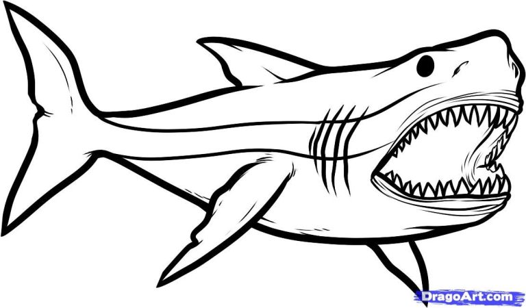 Megalodon Great White Shark Coloring Page