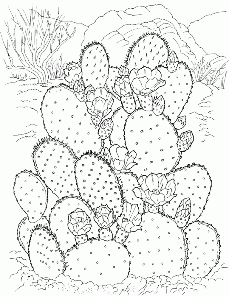 Cactus Coloring Pages Aesthetic