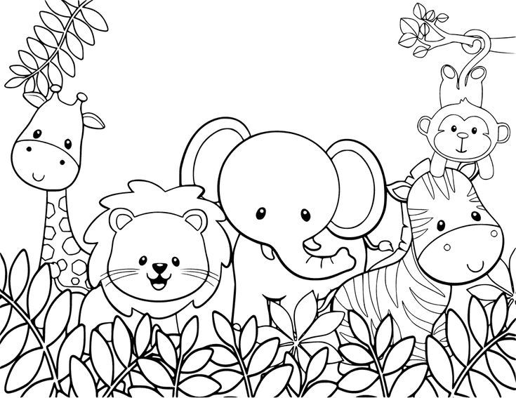 Simple Jungle Animals Coloring Pages