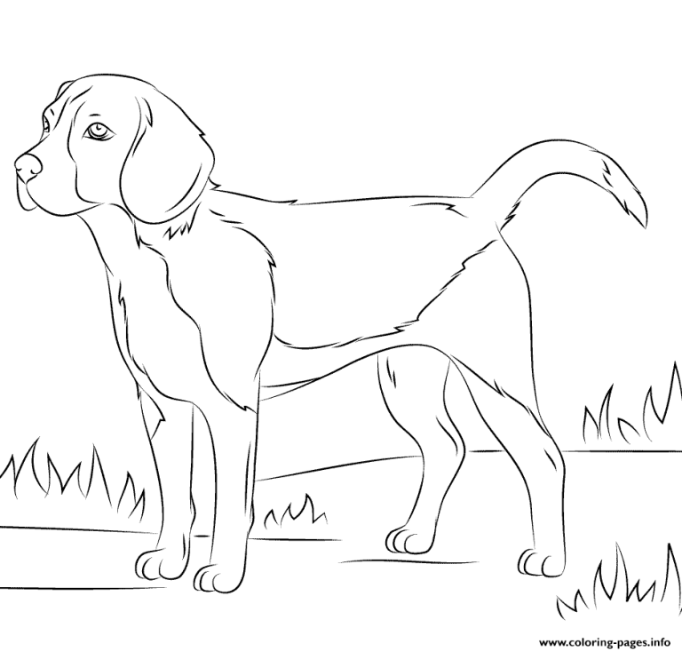 Realistic Printable Dog Coloring Pages