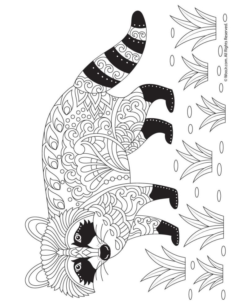 Realistic Raccoon Coloring Page