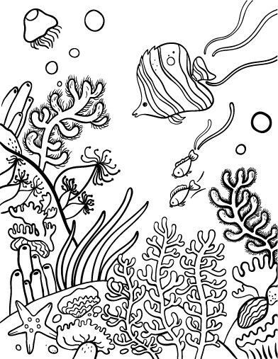 Coral Reef Coloring Pages For Kids