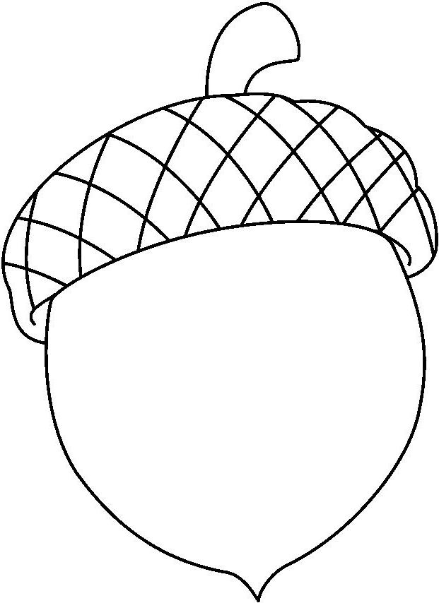 Acorn Coloring Pages Free Printable