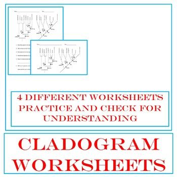 Cladogram Practice Worksheet Answer Key