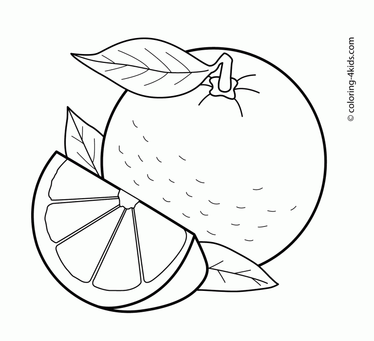Orange Fruits For Coloring
