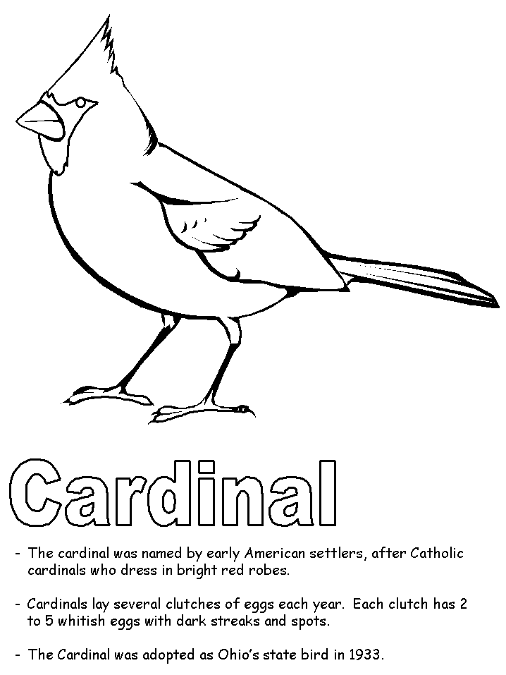 Northern Cardinal Coloring Page