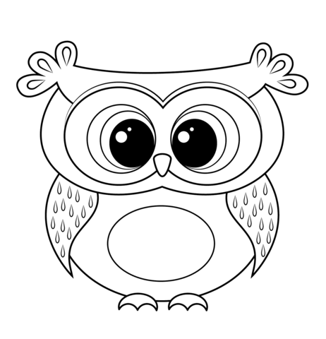 Coloring Owl Pictures