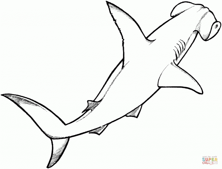 Hammerhead Shark Coloring Sheet