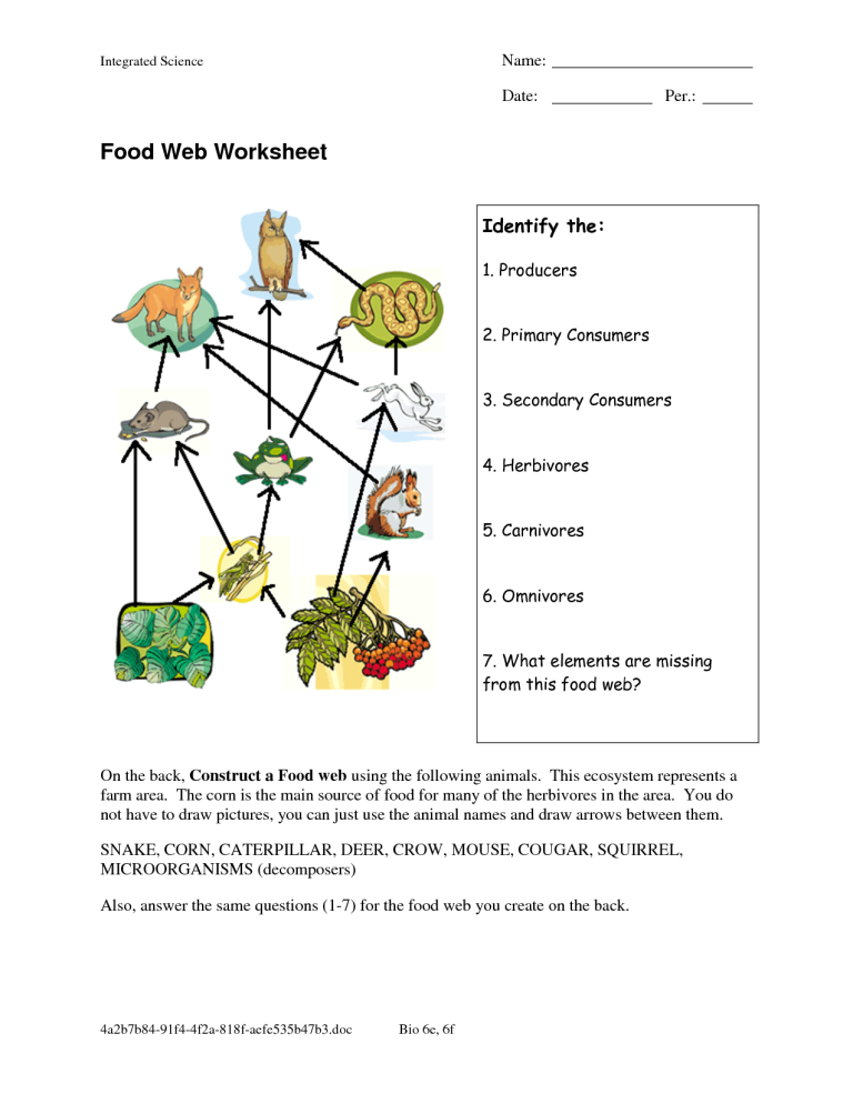 Food Webs And Food Chains Worksheet Back Answers