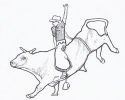 Rodeo Bull Coloring Pages