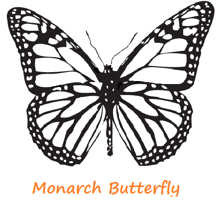 Realistic Monarch Butterfly Coloring Pages