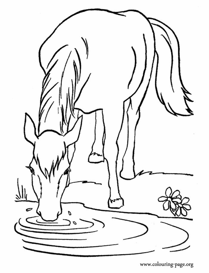 Kid Drinking Water Coloring Pages