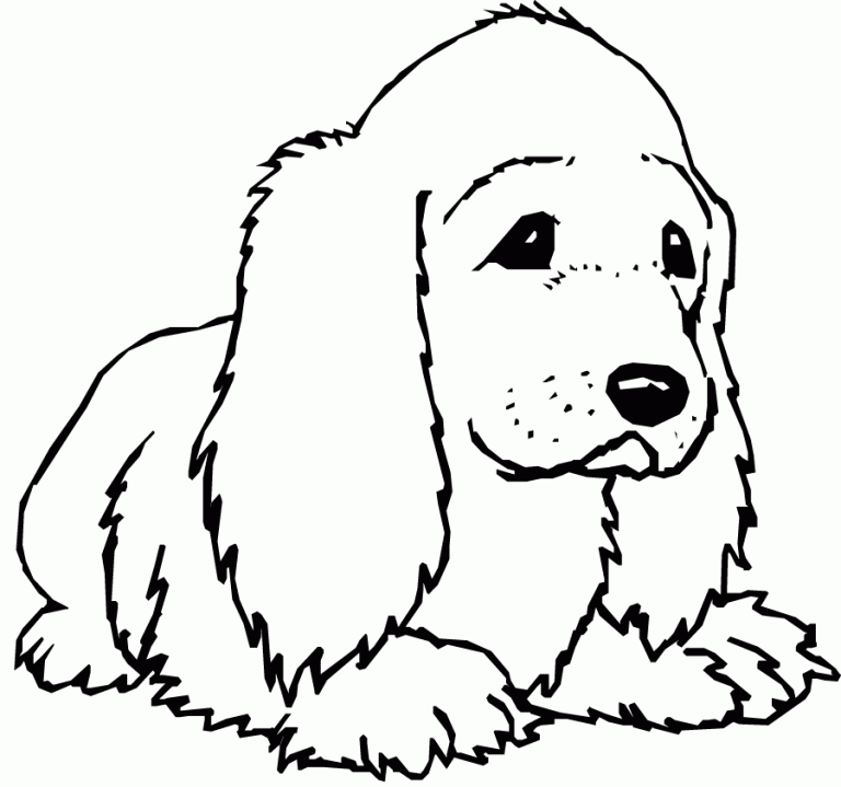 Baby Golden Retriever Coloring Pages