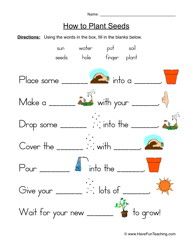 Worksheet For Class 2 Evs Plants