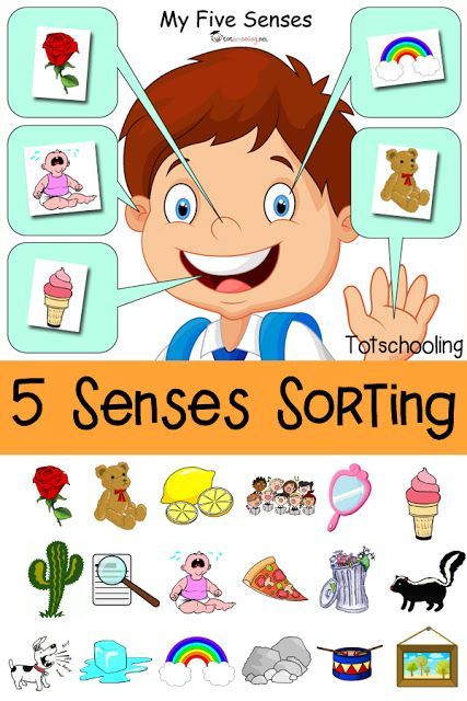 Matching Five Senses Worksheets For Kindergarten