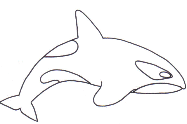 Orca Coloring Pages For Kids
