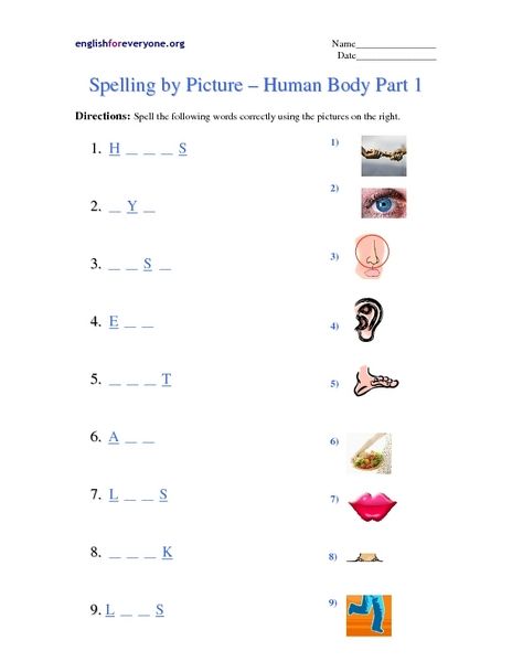 My Body Parts Worksheet For Class 1