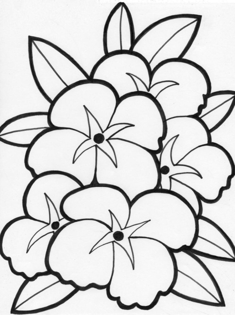 Flower Printable Coloring Pages For Girls