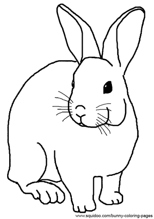 Realistic Cute Bunny Coloring Pages