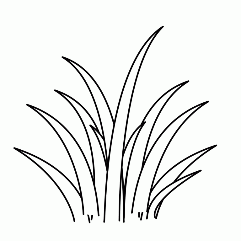 Transparent Grass Coloring Page