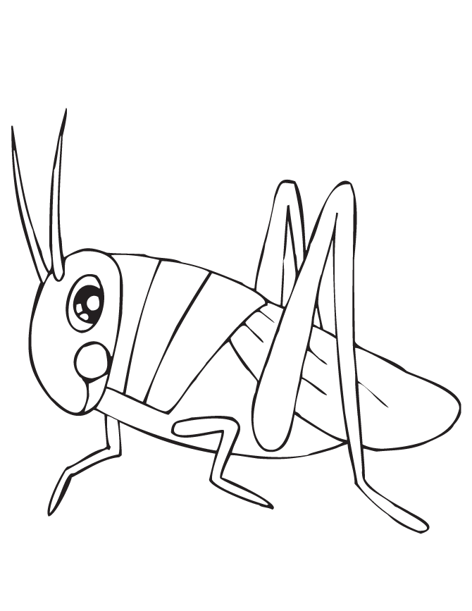 Preschool Grasshopper Coloring Page
