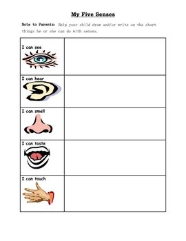 Grade 3 Five Senses Worksheets For 3rd Grade