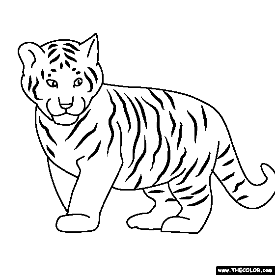 Simple Tiger Coloring Sheet